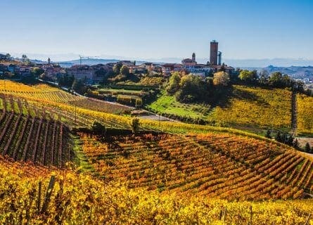 Barbaresco vineyards in the autumn