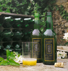 Spanish Cider: One of Spain’s Best-Kept Secrets