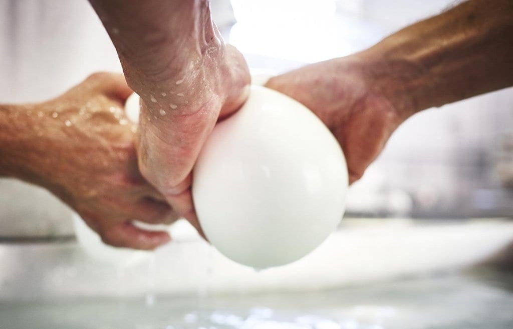 Buffalo Mozzarella