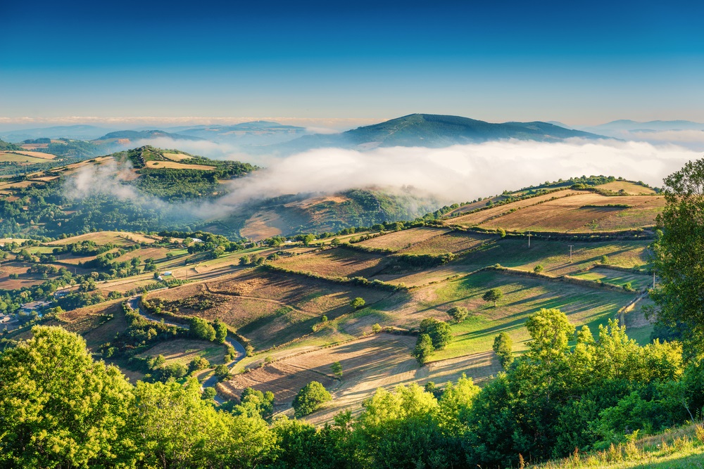 Galicia Wine Country 