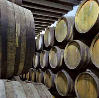 Amontillados- Vinos para Meditar
