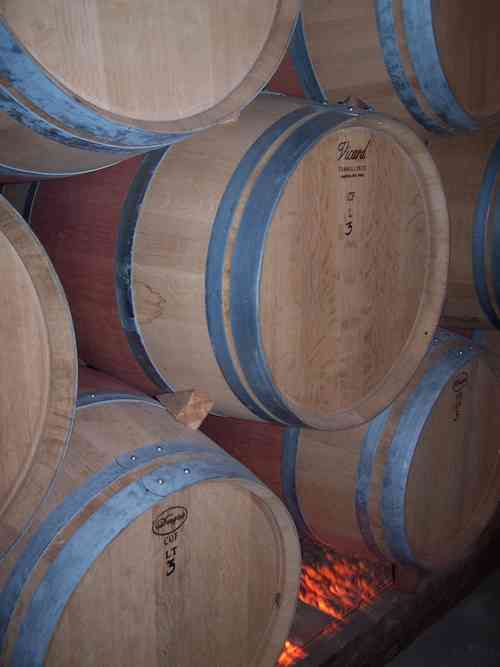 Alentejo wine region in winter