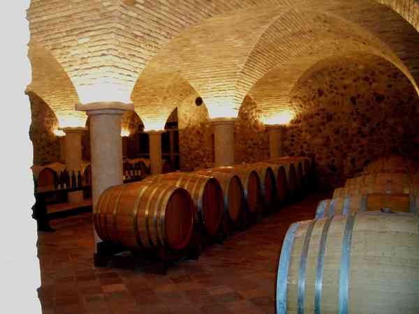 Valtellina wine region for winter escapes