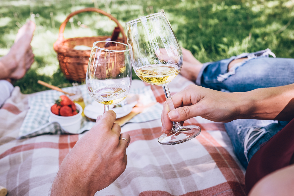 barcelona-picnic-in-the-vines