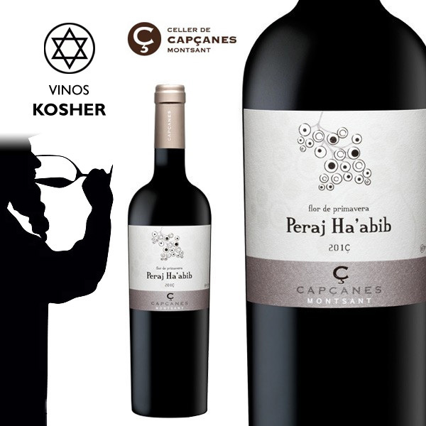 Kosher Spanish Wines » Cellar Tours