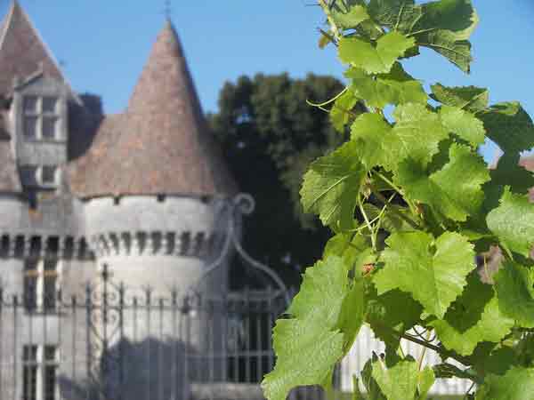 venice of france dordogne venice of france dordogne