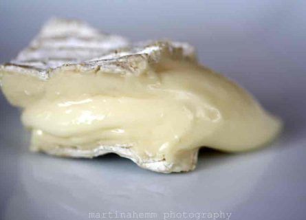 Parlez-Vous Fromage?