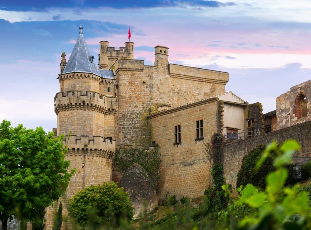 Castillo de Olite