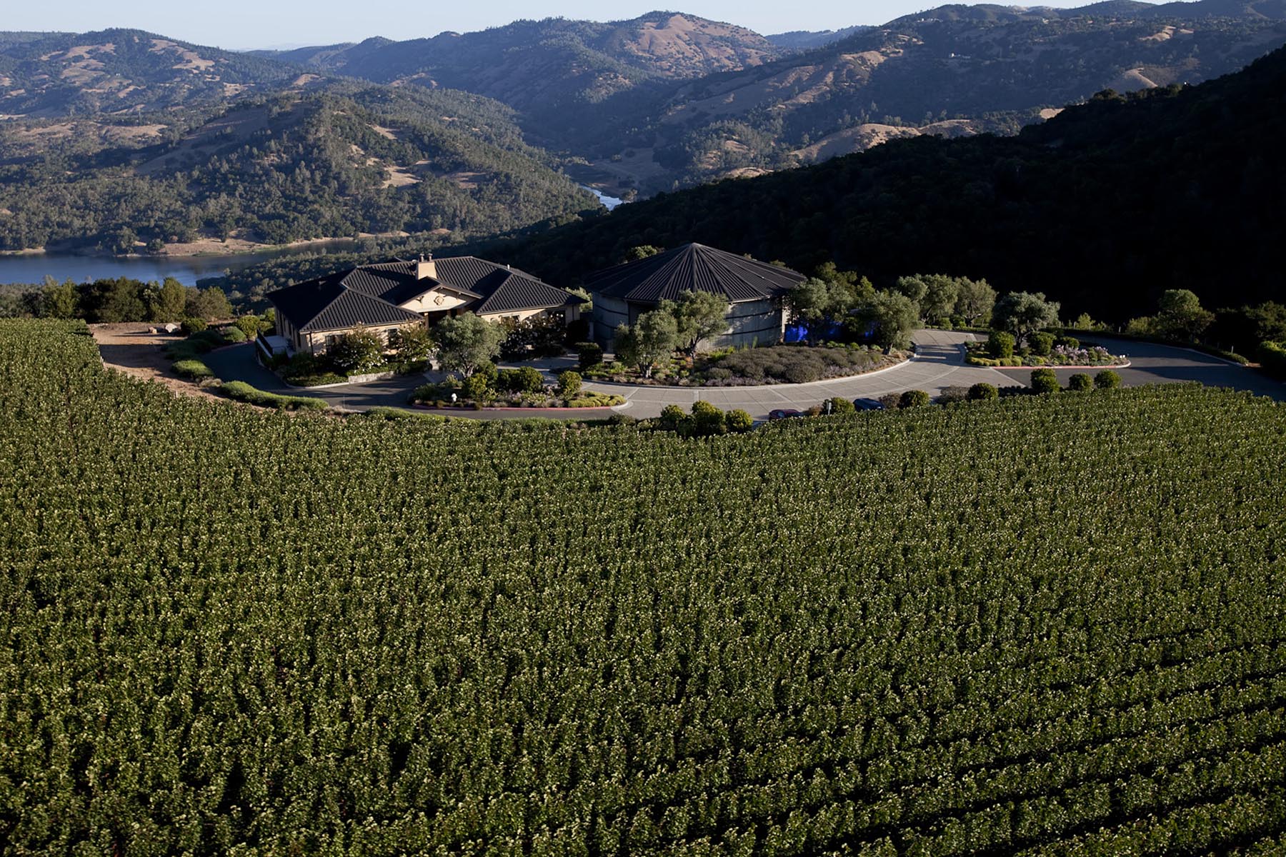 The Ten Most Expensive Wines from California » Cellar Tours