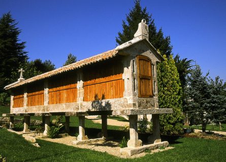 Discover the Finest Godello and Albariño Wines: A Guide to the Top 10 Bottles