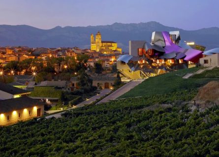 The Top Ten Best Rioja Red Wines for Collectors