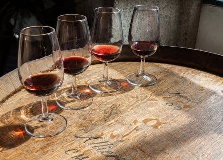 Tracing the Path: A Concise Overview of Port Wines