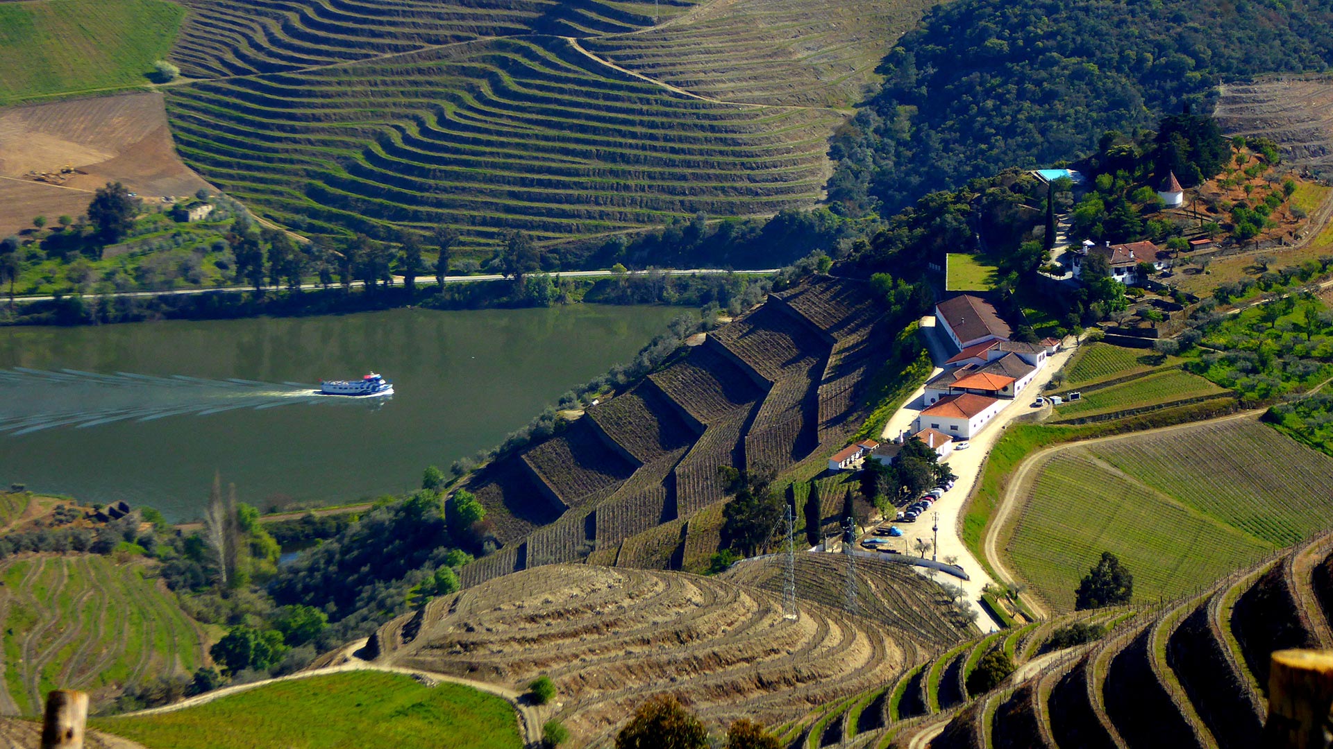 Wine Lovers Guide to the Douro Valley » Cellar Tours