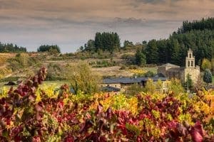 Bierzo, Mencia Vineyards Bierzo, Mencia Vineyards