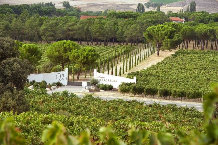 Spain's Wine Treasures Guide to the Top 10 Wineries Cellar Tours™