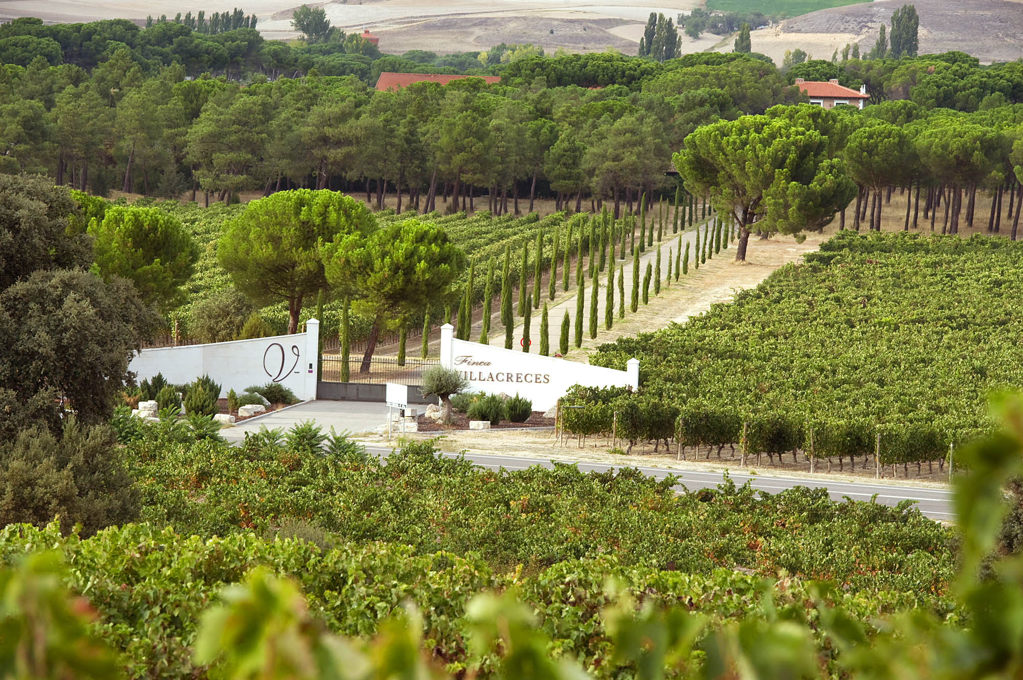 Spain's Wine Treasures Guide to the Top 10 Wineries Cellar Tours™