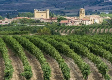 Savor Spain’s Finest: Discover the Top Ten Wineries for Unforgettable Visits