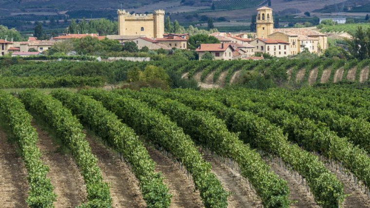 Best Spanish Winery Visits