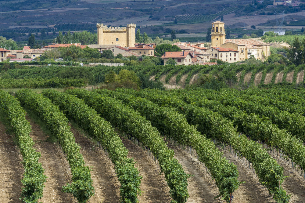 wine trip in spain