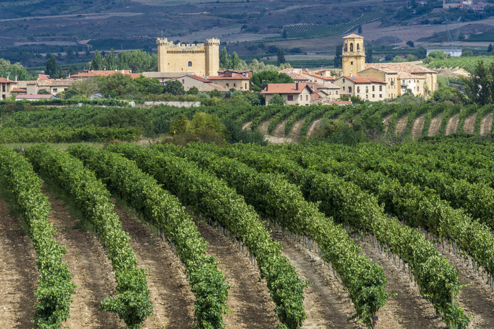 Best Spanish Winery Visits