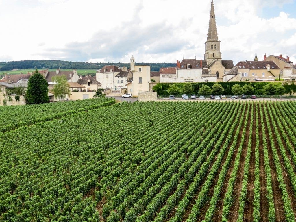 Meursault: Burgundy