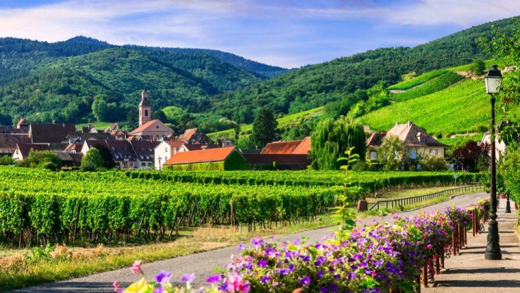 Alsace countryside