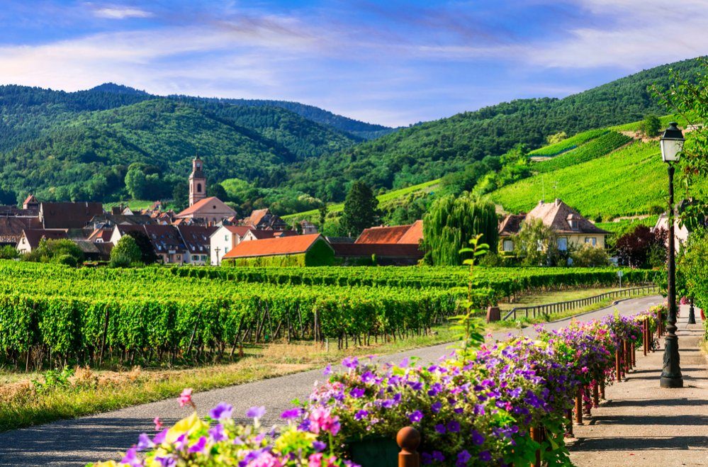 wine tours in alsace france