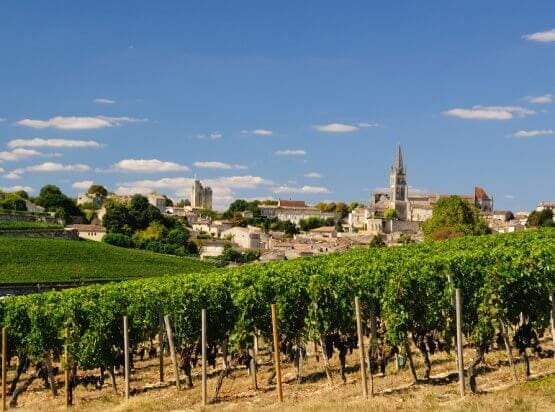 Saint Emilion Vineyards on the right bank, Bordeaux