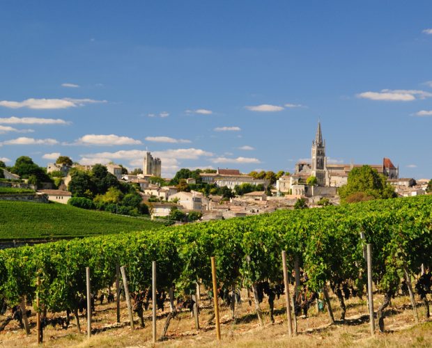Saint Emilion Vineyards on the right bank, Bordeaux