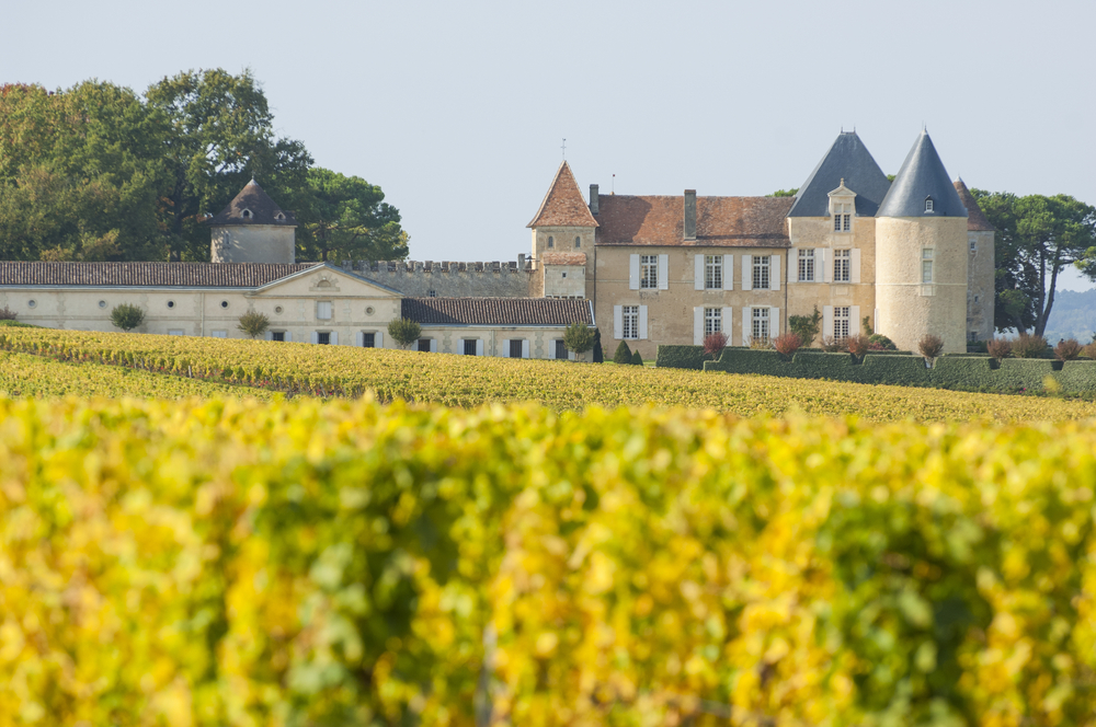 Yquem Vineyards, Bordeaux