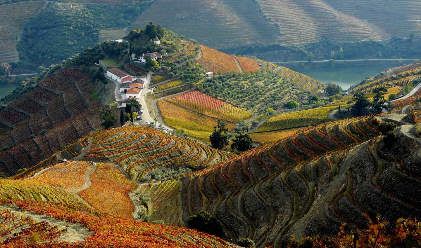 Quinta do Crasto