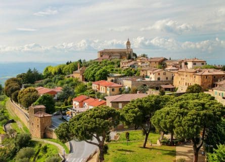 Top 10 Exquisite Brunello di Montalcino Wines: A Connoisseur’s Selection