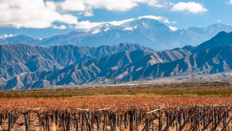 Argentina - Top 10 Icon Wines