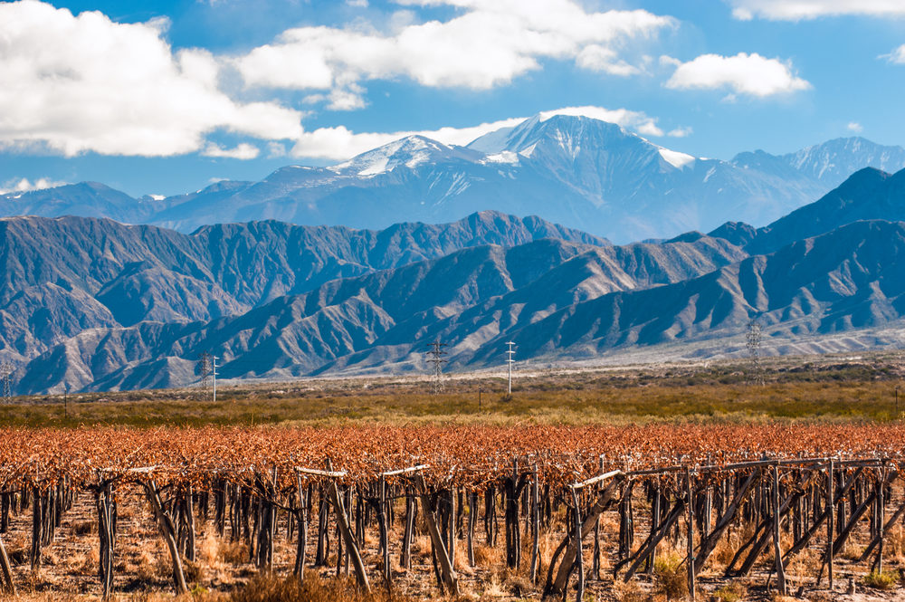 Argentina - Top 10 Icon Wines