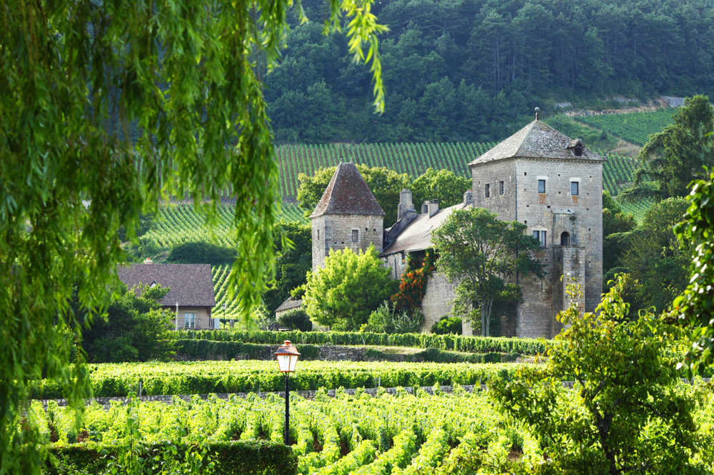 Red Burgundy Wine