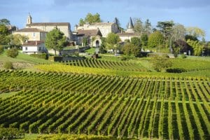 Vineyards Saint Emilion Vineyards Saint Emilion