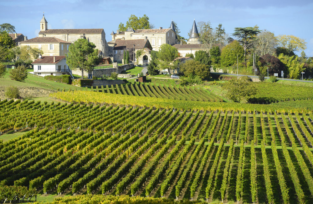 Vineyards Saint Emilion