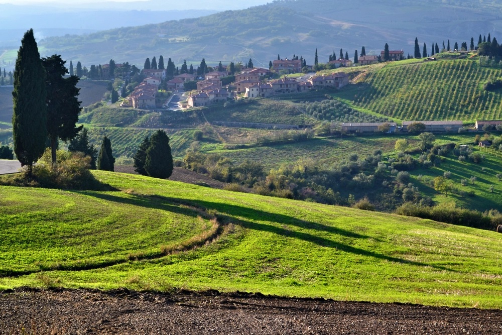 salcheto-montepulciano