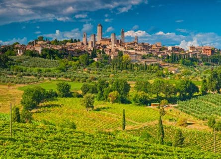 Top 10 Exclusive Tuscan Wineries for Discerning Travelers