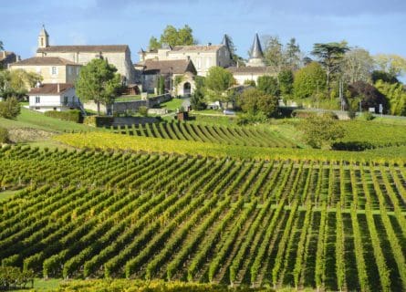 Bordeaux: Best Winery Experiences