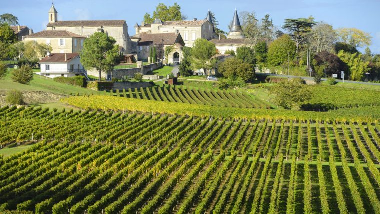 Bordeaux: Best Winery Experiences
