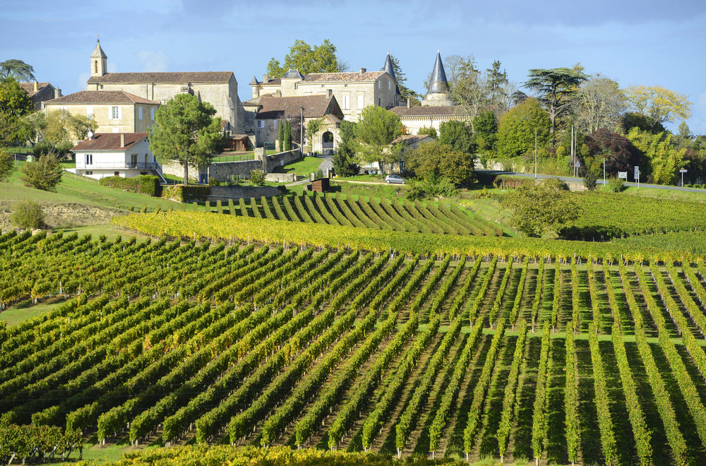 Bordeaux: Best Winery Experiences