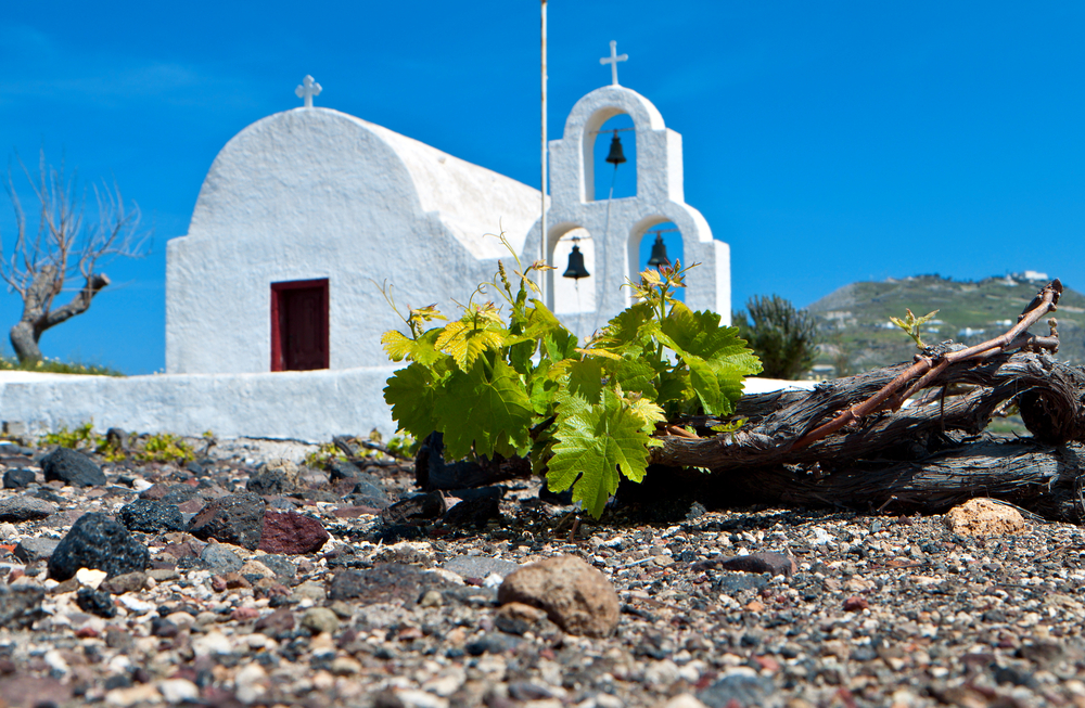 assyrtiko-santorini