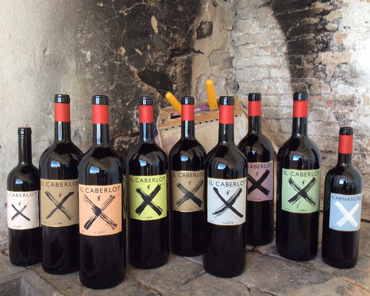 The Ten Rarest Wine Grape Varieties a Guide by Cellar Tours™