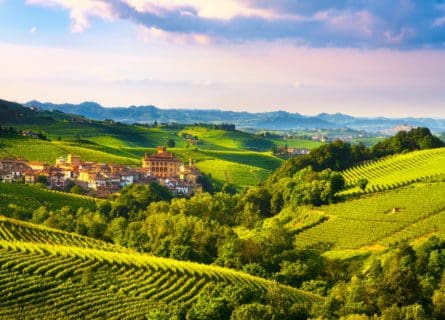 Barolo: the King of Wines