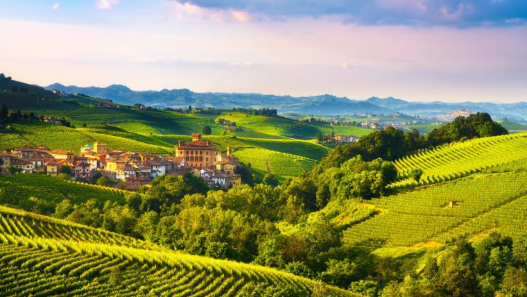 barolo-the-king-of-wines
