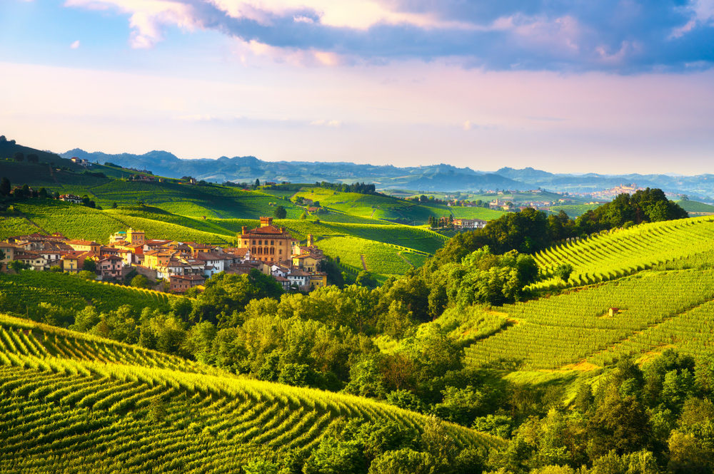 barolo-the-king-of-wines