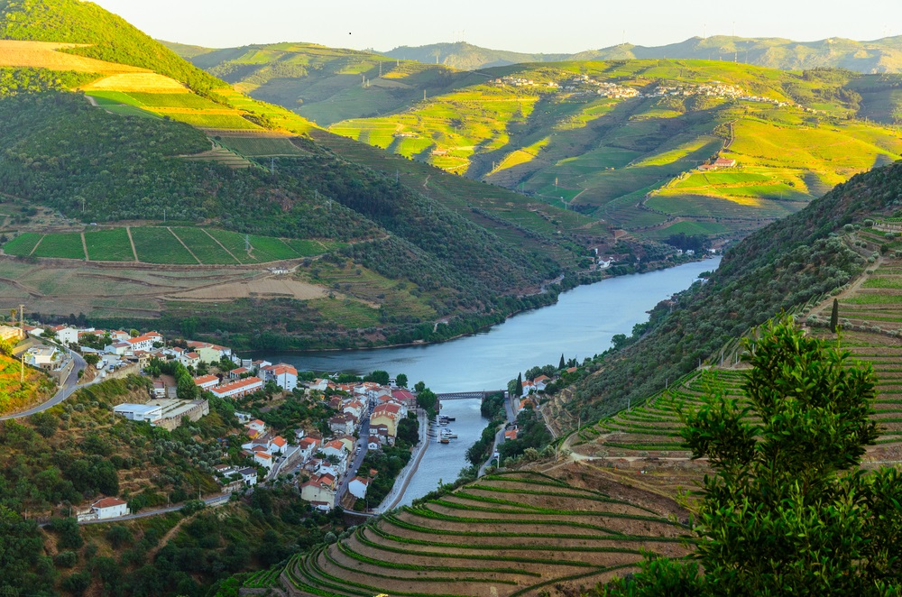 douro-valley-wine-tour