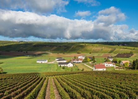 Introduction to the Magic of Sancerre