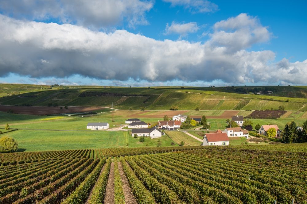 sancerre-wine